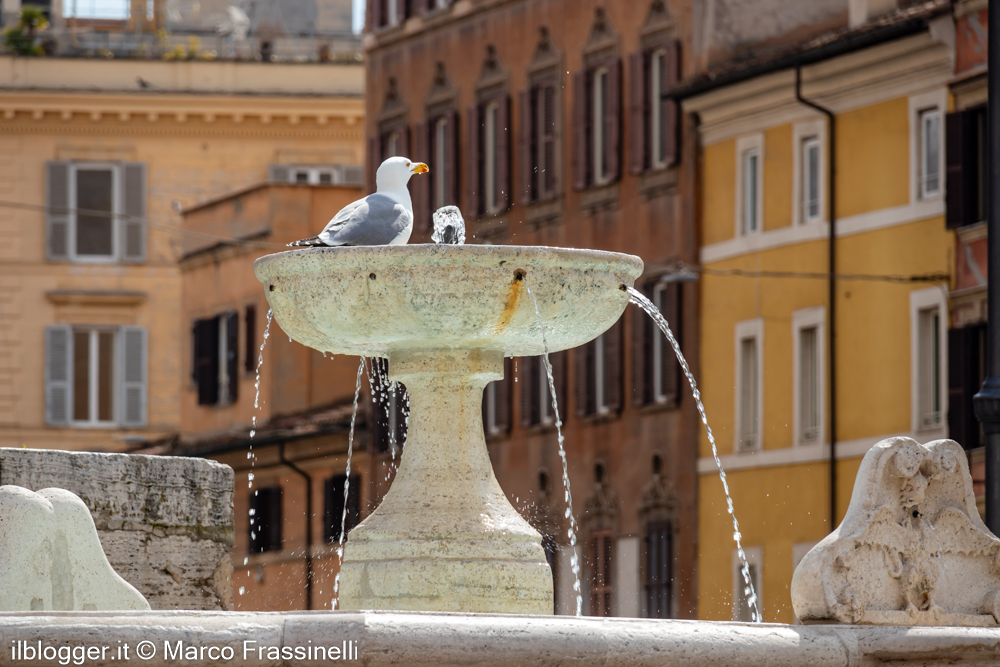 fontana